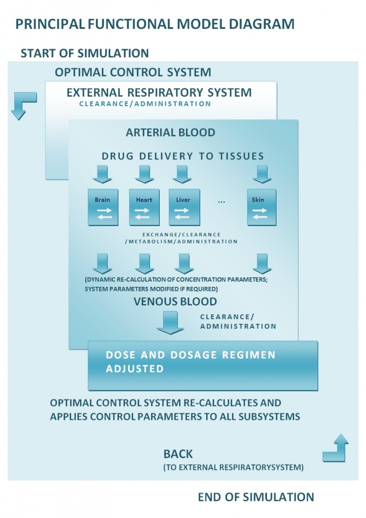 FUNCTIONAL MODEL DIAGRAM